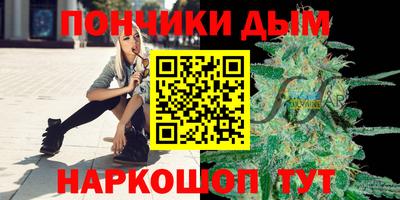 МДПВ Камышлов