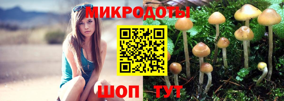 A-PVP СК   ГЕРОИН  Кокаин  Вход с VPN  Кстово  МАРИХУАНА  Мефедрон  