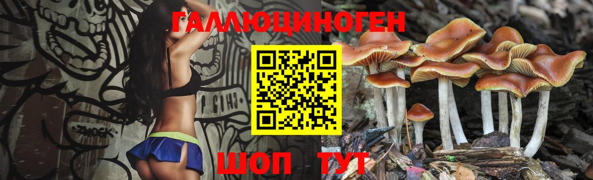 Галлюциногенные грибы Psilocybine cubensis  Вход с VPN  Галлюциногенные грибы прущие грибы  Кстово 